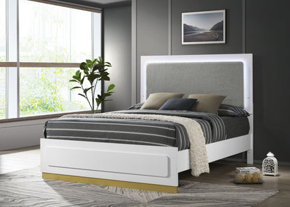 Caraway Wood Queen LED Panel Bed White