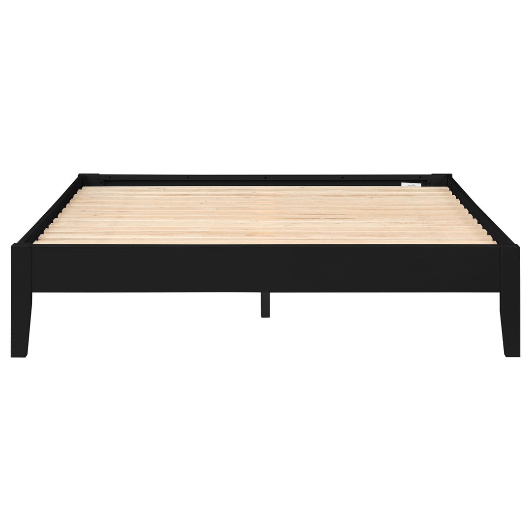 Hounslow Queen Universal Platform Bed Black