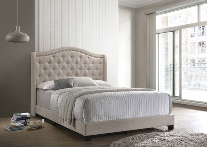 Sonoma Upholstered Eastern King Wingback Bed Beige