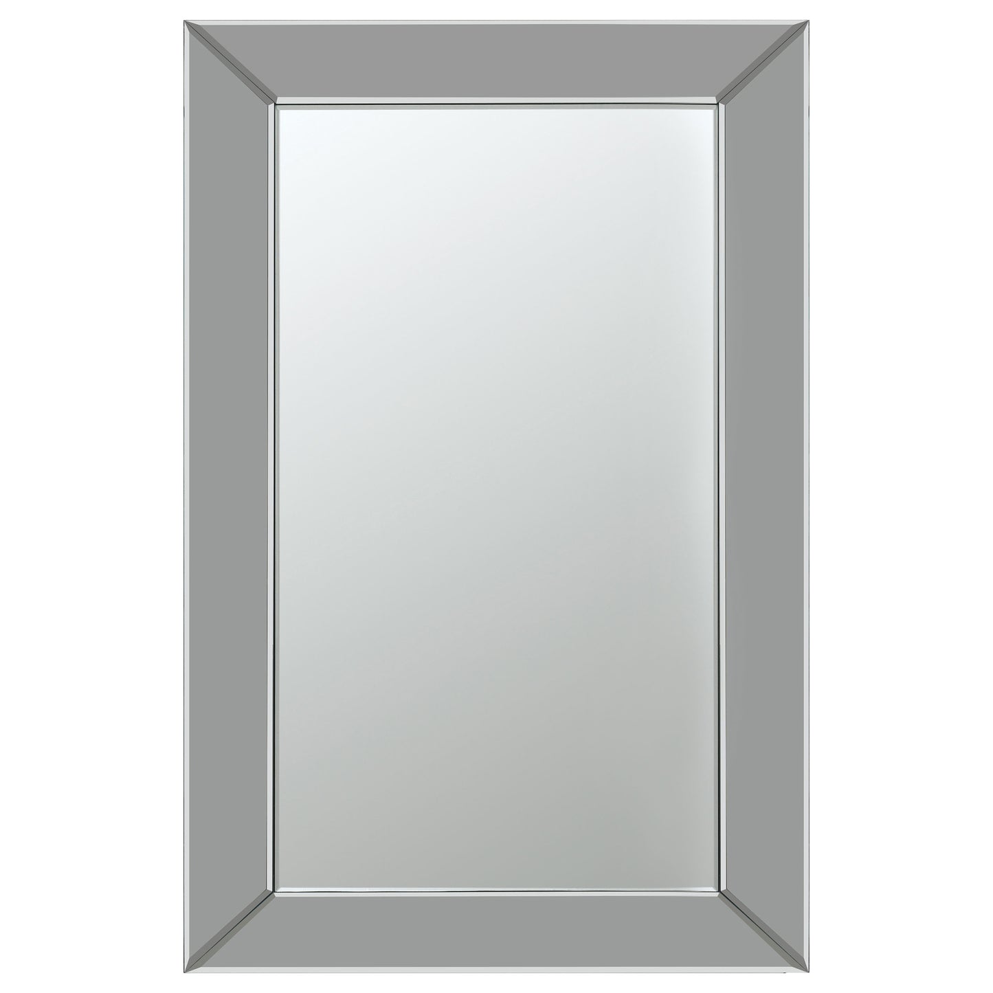 Pinciotti Rectangular Beveled Wall Mirror Silver