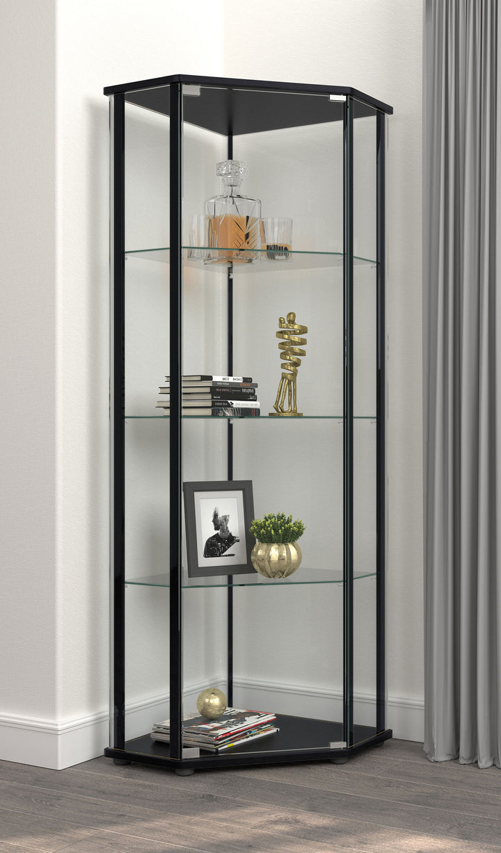 Zenobia Glass Shelf Curio Cabinet Clear and Black