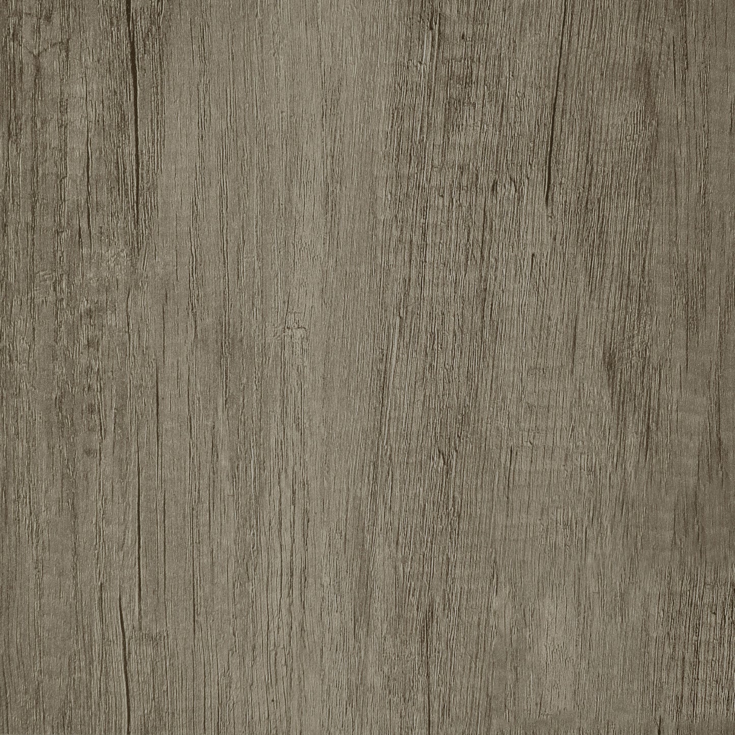 Deepika 4-panel Folding Screen Grey Driftwood