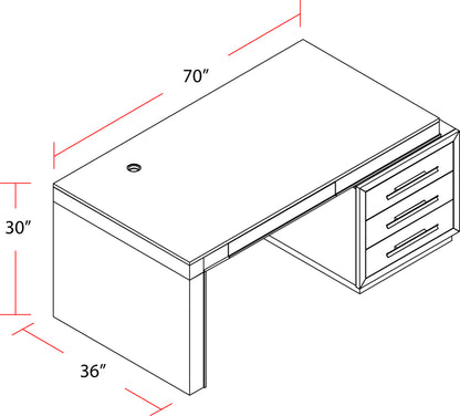 House Pure Modern Executive Desk